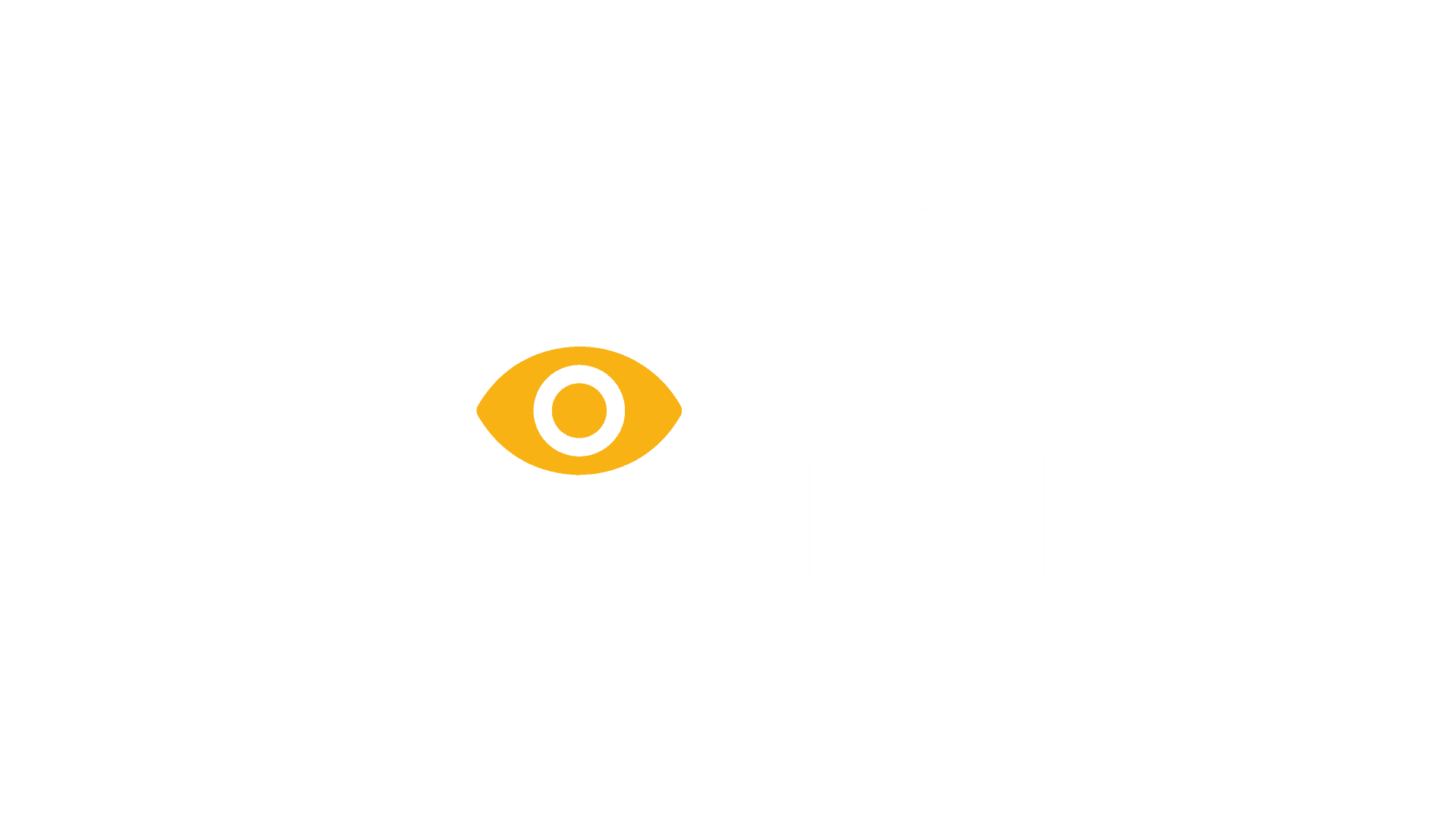 Customer interviews